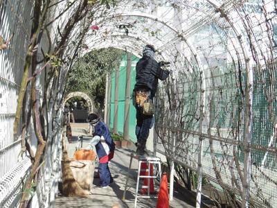 学校だより 輝く瞳 川口市立青木北小学校